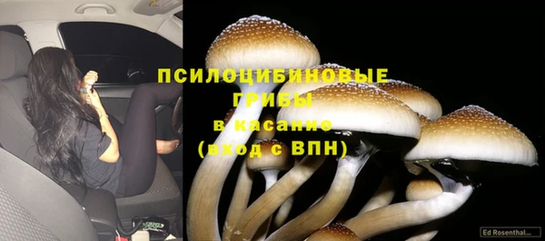 мдпв Россошь
