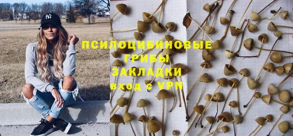 крисы Ростов