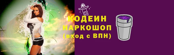крисы Ростов