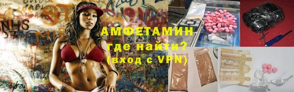 крисы Ростов
