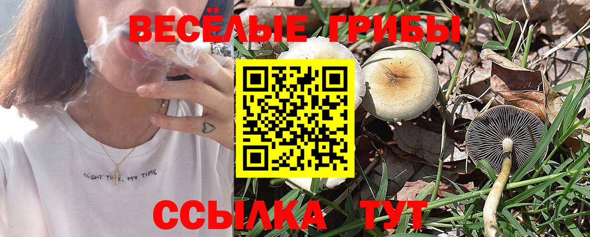 Псилоцибиновые грибы GOLDEN TEACHER Карталы