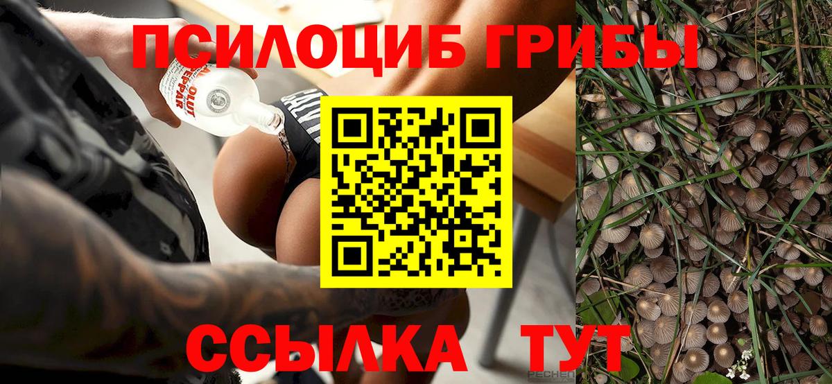 Псилоцибиновые грибы Magic Shrooms  где продают наркотики  Карталы  Вход с VPN 
